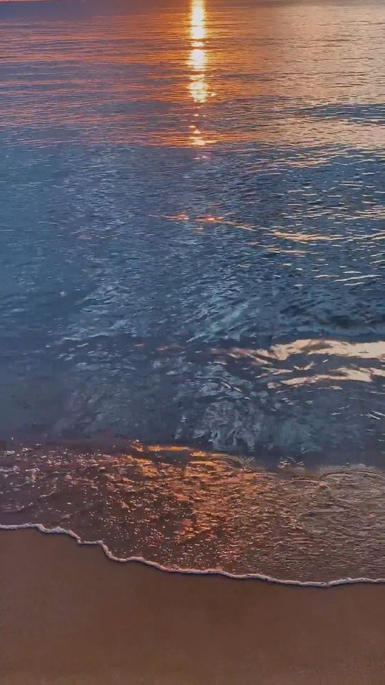 64k Wallpaper Beach Videos, Download The BEST Free 4k Stock Video ...