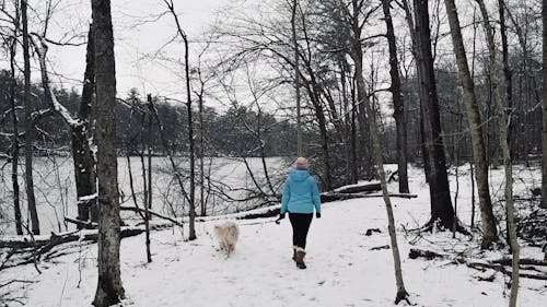 A Person Walking with Dog in the Snow