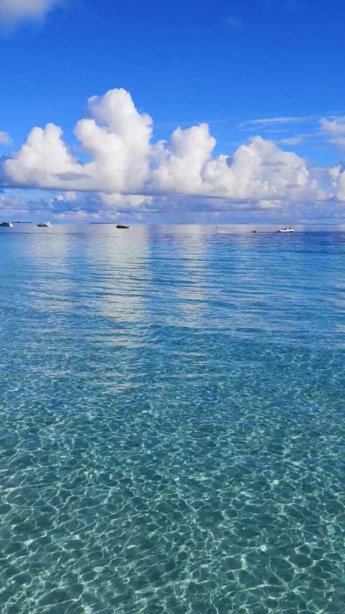 Flowing Clear Sea Water