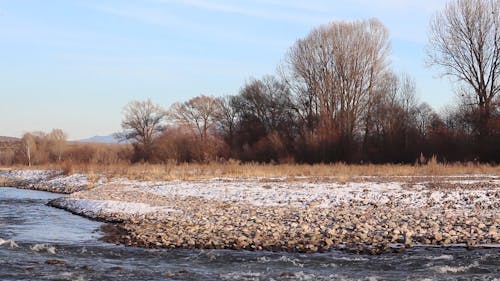 View of a Flowing River