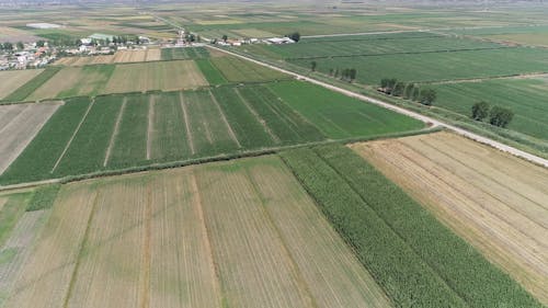 Drone Shot of a Wide Field