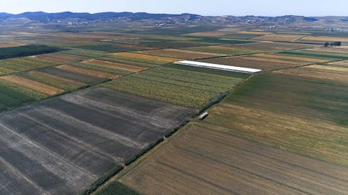 Aerial Footage Of  Cultivation Area