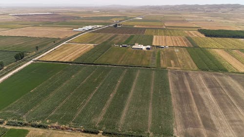 Aerial Footage Of Cultivation Area