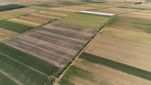 Aerial Footage Of Farmland
