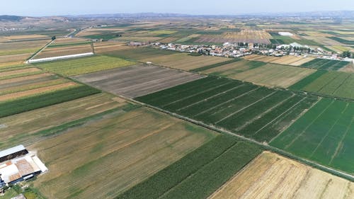 Drone Shot of a Wide Field