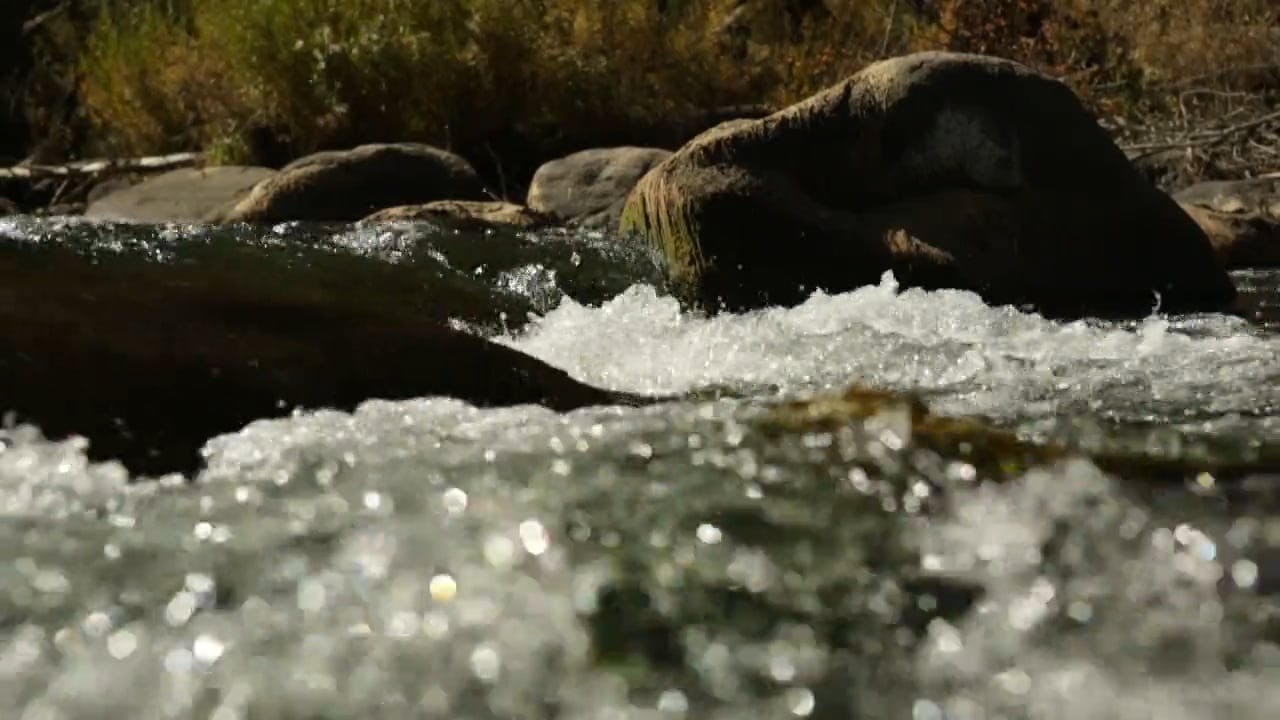 Video by Joetography