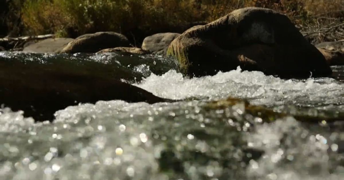 Running Stream Views Close-Up On Running Stream Free Stock Video Footage, Royalty-Free 4K ...