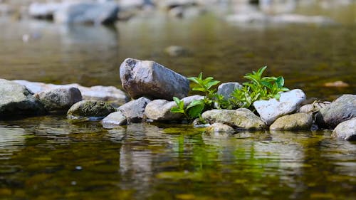 Water Flowing Through Rocks