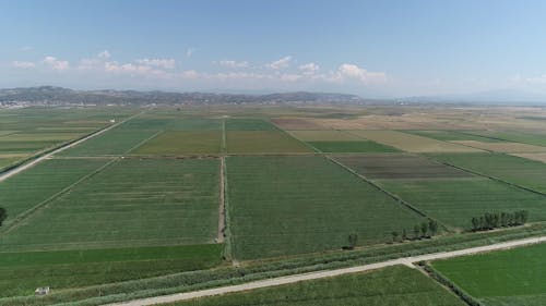 An Aerial Shot of a Farmland