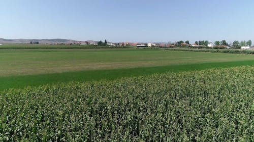 Drone Footage Of An Agricultural Field