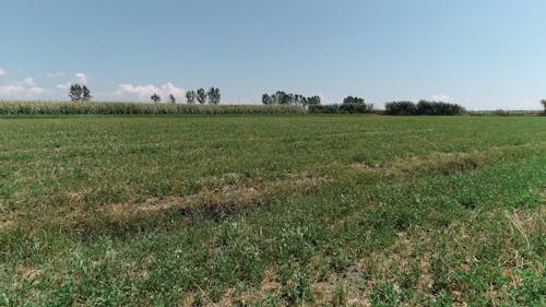 Aerial View of Crop Fields