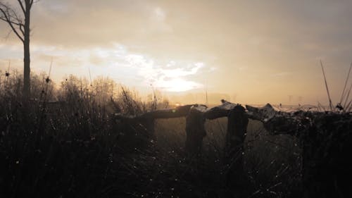 Misty Surroundings In Early Morning 