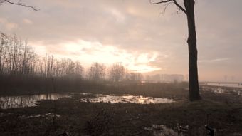 风景视频素材视频素材视频素材