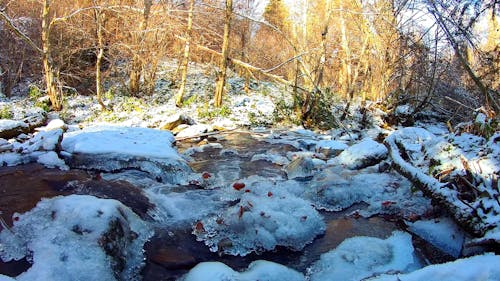 Creek Flowing Among Frosty Rocks