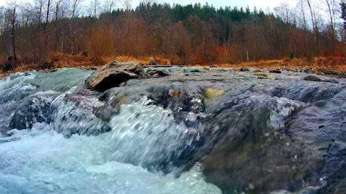 Forest River Flowing over Rocks 
