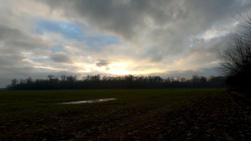 View of an Open Field