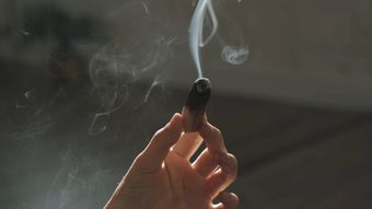 龙骨灸视频素材