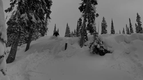 Person Skiing Down a Hill