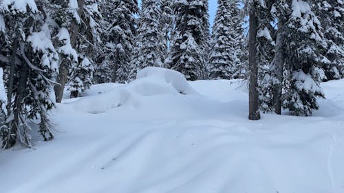 A Person Skiing