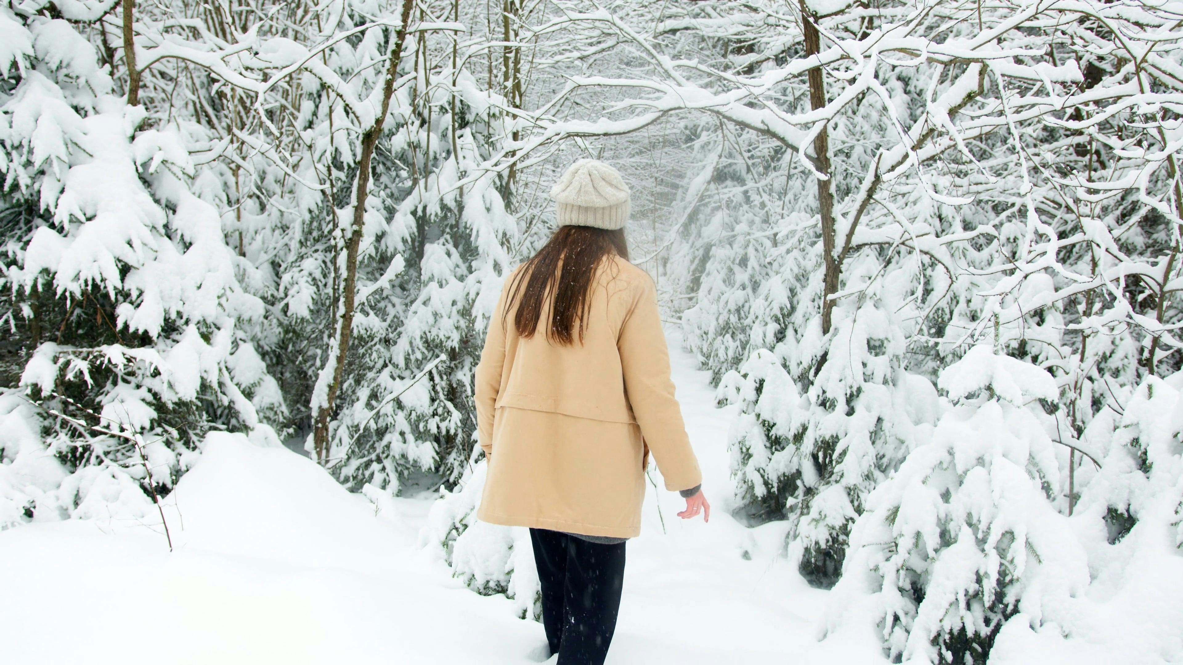 A Woman in Walking in the Snow · Free Stock Video