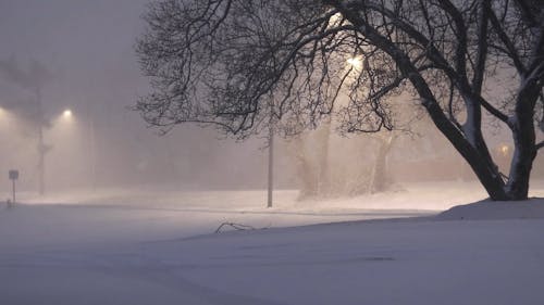 A Snowy Night