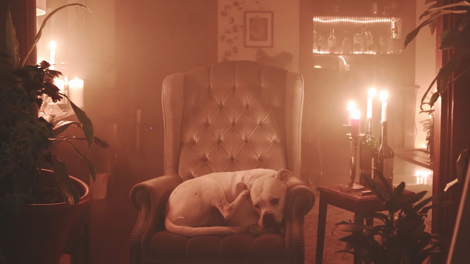 Comfort Scene Videos, Download The BEST Free 4k Stock Video Footage ...