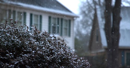 Snow Falling Outside of House
