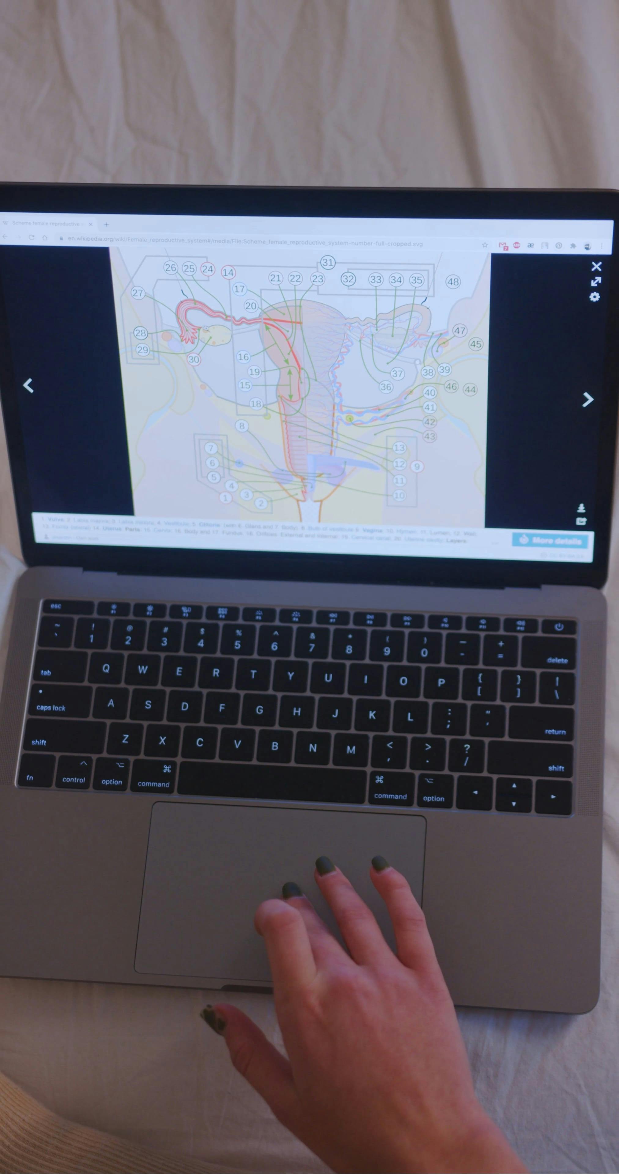 Video by cottonbro studio