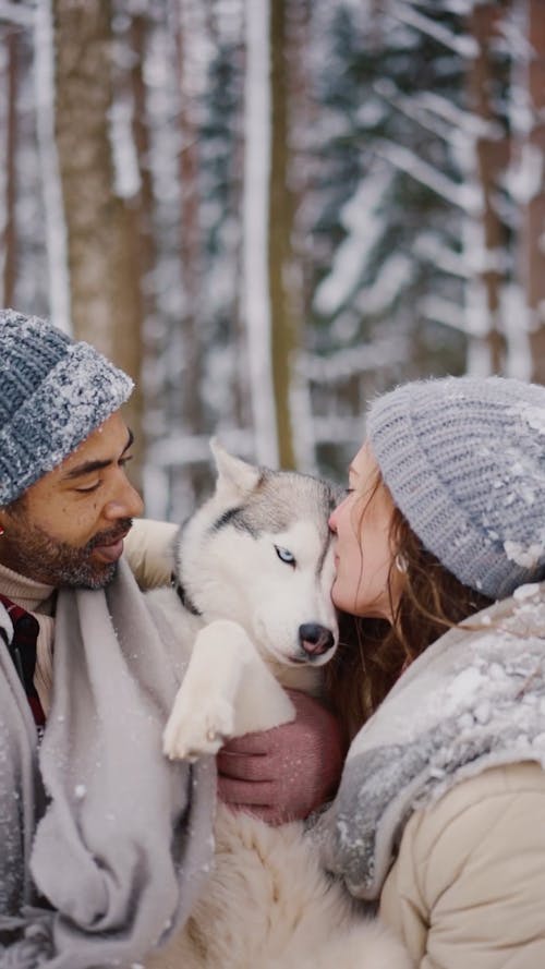 Couple Kissing their Pet Dog