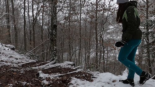 A Woman Walking in the Forest