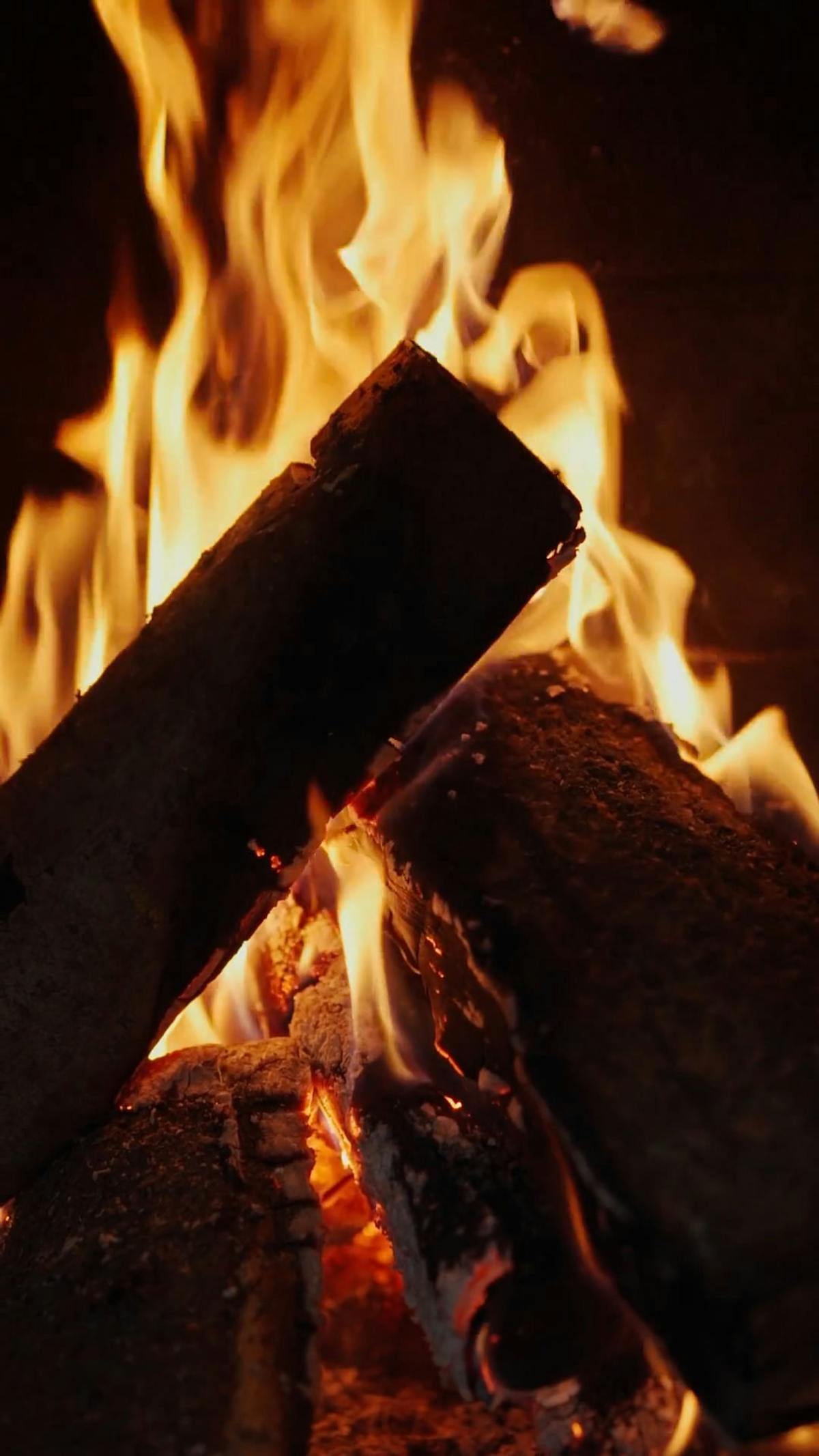 Live Wallpaper Videos, Download The BEST Free 4k Stock Video Footage