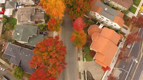 Aerial View of a Neighborhood on Autumn