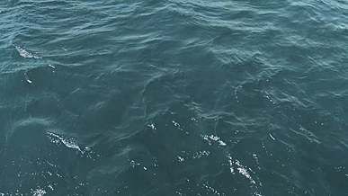 ripples on water surface