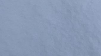 雪蛤视频素材视频素材