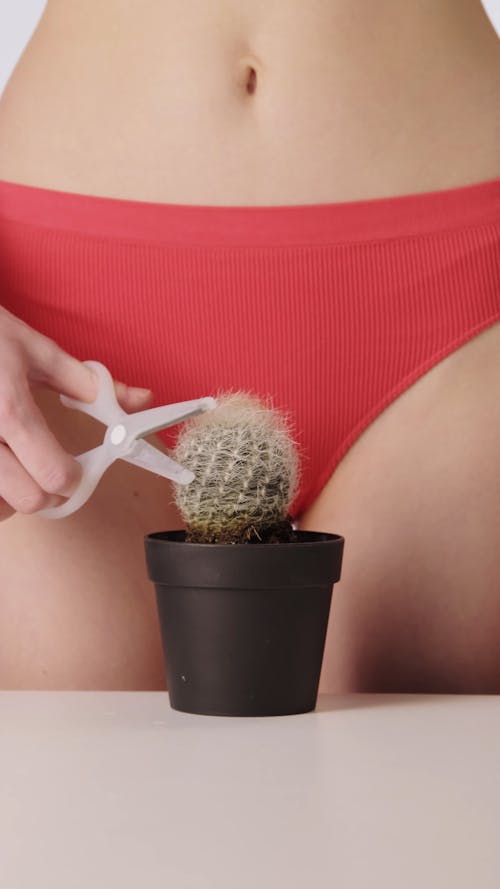 A Woman Trimming the Cactus