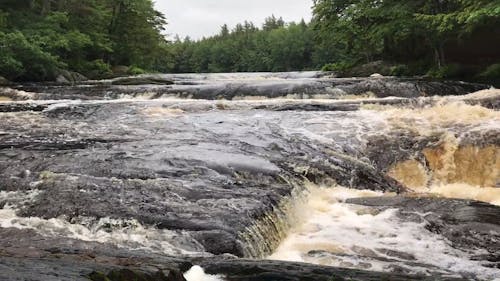 Cascading Water Through the River in the Middle of the Forest 