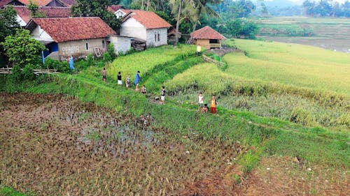 Video of Children at a Farmland