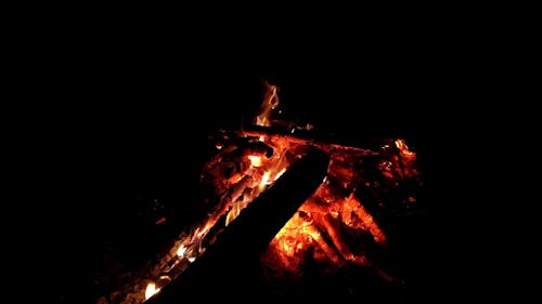 Flaming Woods at Night