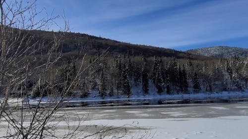 Frozen River and Snow Covered Trees