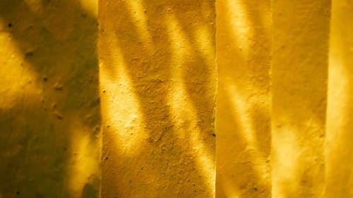 Shadows on a Bright Yellow Wall
