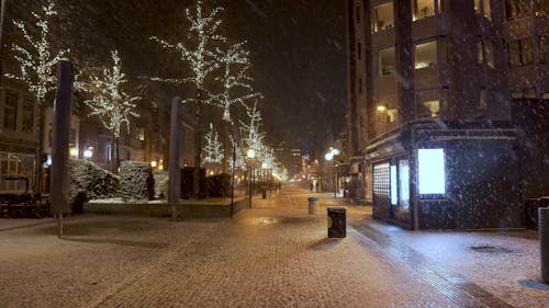Snowfall at the City