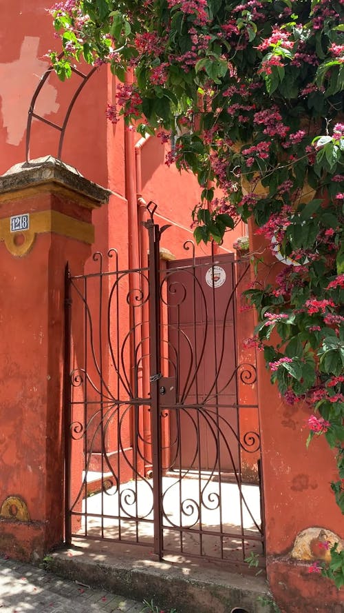 Video of a Gate and Flowers