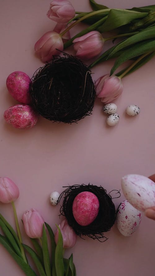 Flat Lay of Eggs and Tulips