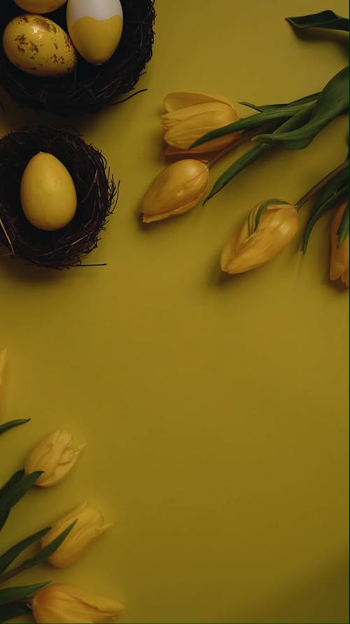 Flat Lay of Eggs and Tulips