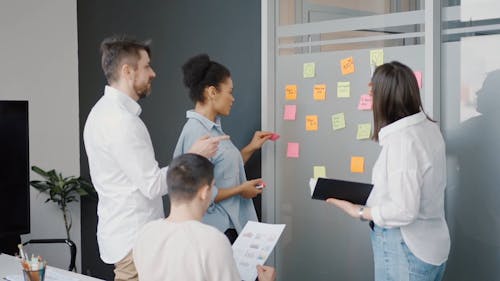 A Group of People Having Their Team Meeting