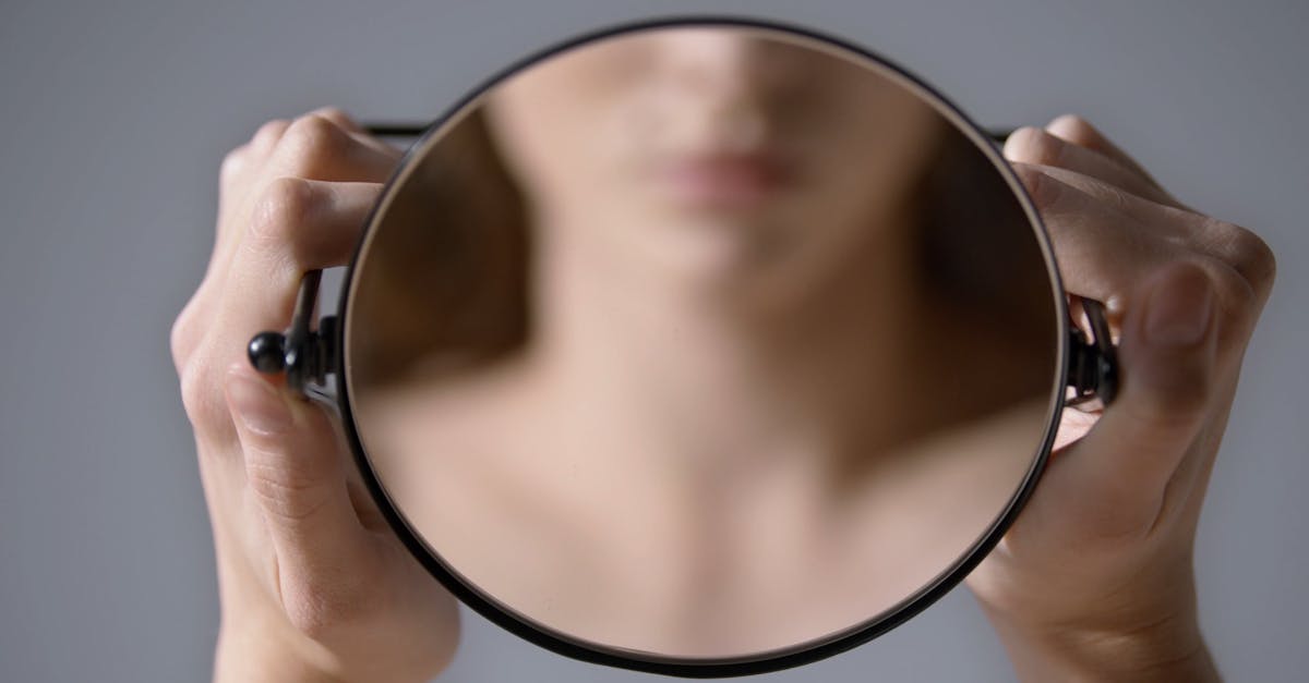 To hold up a mirror