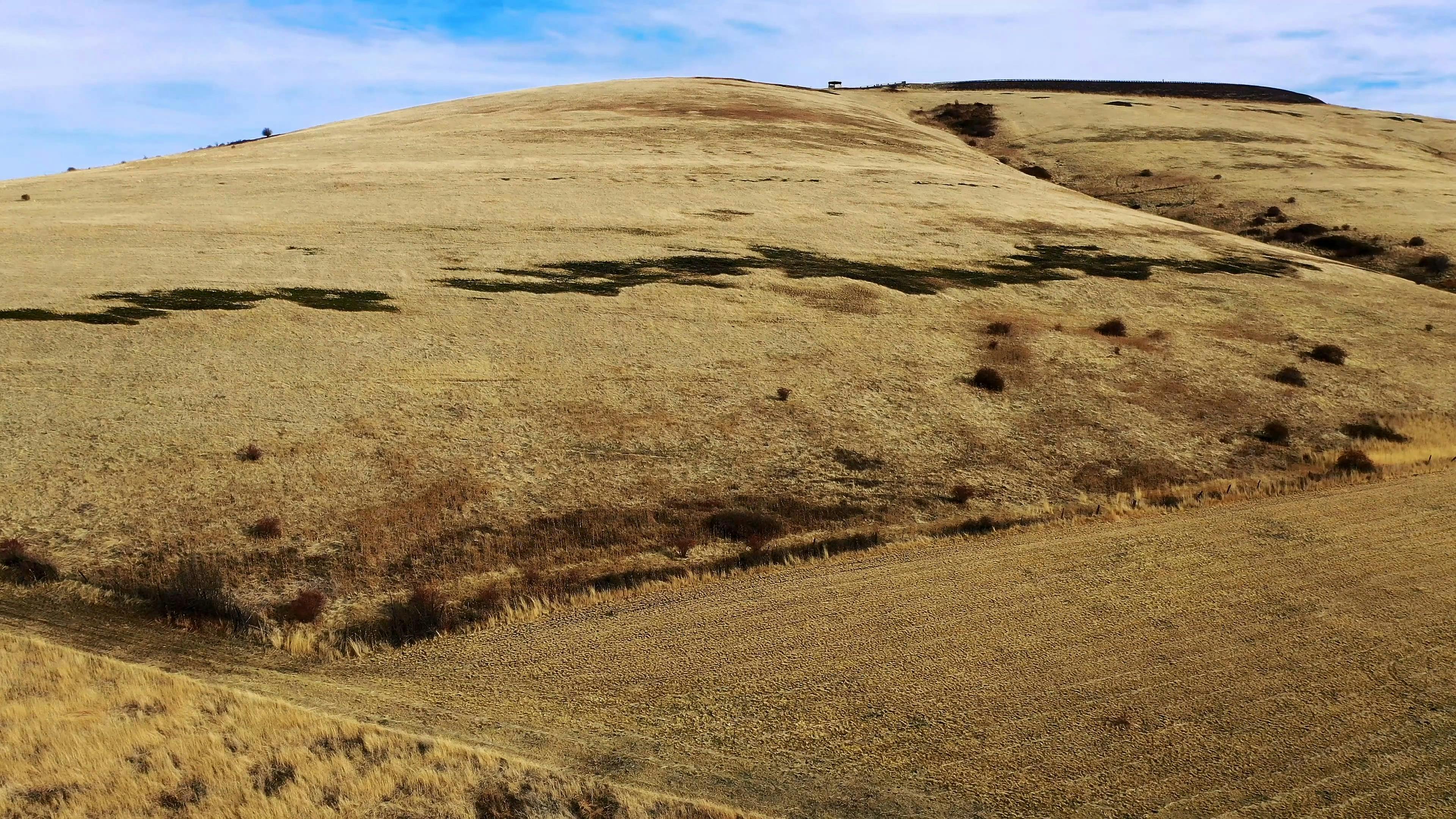 Drone Footage of Dried Grass on a Hill · Free Stock Video