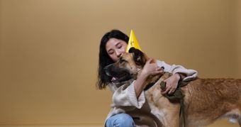 人和宠物免费下载免费下载视频素材