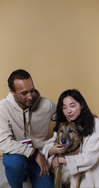 人和宠物免费下载视频素材