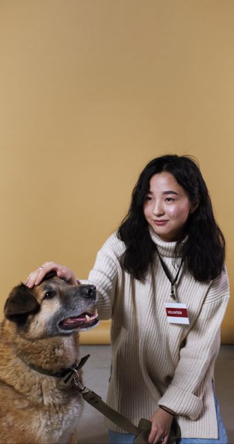 人和宠物视频素材